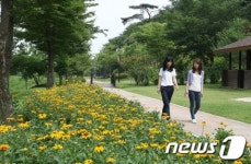 포항 도음산 산림문화수련원, 힐링 장소로 각광