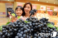 머루가 포도를 만났네