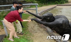 청송사과와 초식동물이 창조경제 모델 만든다