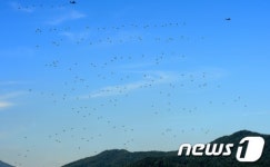 하늘 수놓은 집단강하