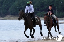 [화보]포항 한솔 승마클럽 회원들의 폭풍질주