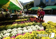 서초구 화훼직거래 장터