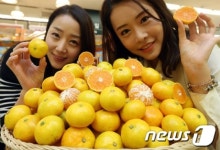 가을에도 맛있는 밀감이 나왔어요!