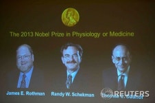 노벨생리의학상, 로스먼·셰크먼·쥐트호프 수상