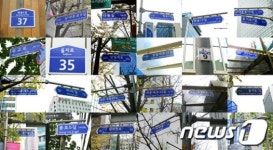 앰코로·파인토피아로…전국 936개 도로 외래어 버젓