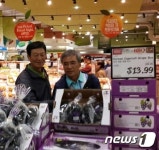 영동군, 10~14일 뉴욕서 영동포도 판촉행사