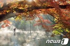 관광사진 공모전 대통령상에 선운사의 아침