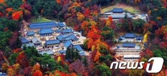 합천군, 관내 여행방문지 해인사 최고