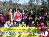 보은 소비자 그린투어 인기