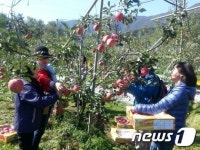 보은 소비자 그린투어 인기