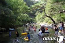 단양군, 남천계곡 캠핑장 조성