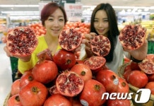 빨간색 영양보석 석류 맛보세요!