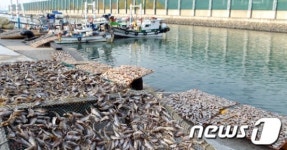 인천 동구, ‘화수부두 수산물 축제’ 개최