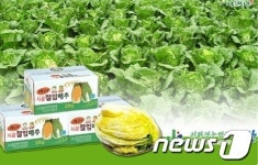 절임배추 원조 괴산 위상 ‘흔들’