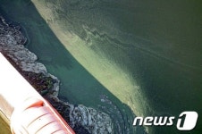 낙동강 구미보에 녹조띠