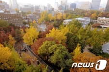 가을 色으로 물든 정동