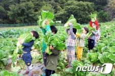 동해 만우마을, 농촌체험 제공