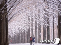 담양 메타세콰이어길 그림같은 설경