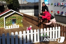롯데百 포항점, 무료 썰매장·미니동물원 개장