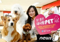 IBK기업은행 참! 좋은 내사랑 PET카드 판매