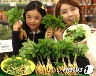 2년근 무농약 어린잎 인삼 맛보세요