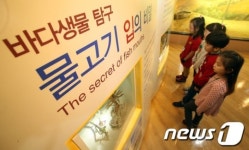 바다생물 탐구해볼까?