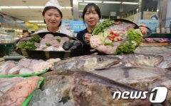 제철맞은 대구 저렴하게 구매하세요