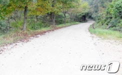 서산시, 친환경 레저 임도 조성