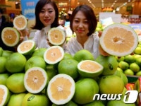 감기 예방에 좋은 스위티 맛보세요!