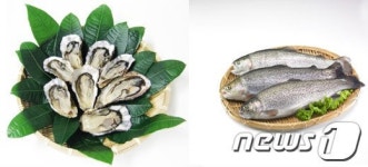 2014년 1월 웰빙수산물‘굴·송어’선정