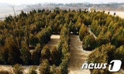 서산버드랜드 미로정원 조성