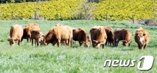 함평군, 3년 연속 녹색축산시책 대상