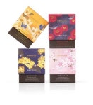 오설록, 제주 꽃향 담긴 茶 메모리 인 제주 선봬