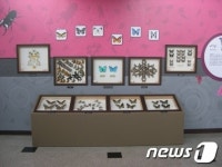 강화역사박물관, `곤충의 세계` 전시