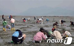 지난해 어촌체험마을 95만 명 방문, 228억 원 소비