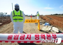 부안 오리농장서 AI 추가 확정… 방역 비상(종합)