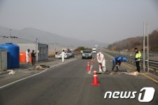 해남군, AI 차단 방역대책 총력 (종합)