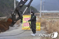 해남, AI감염 방역 철저