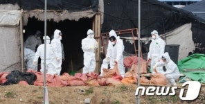전통시장내 살아있는 닭·오리 판매업소 5일까지 폐쇄(종합2보)