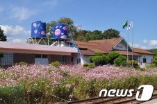 하동 북천에 코스모스 도서관 들어선다