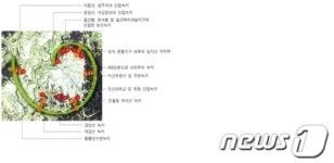 광주시, 호남정맥 단절 문흥JC 녹지축 연결 추진