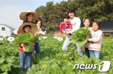 친환경채소 직접 키워보세요