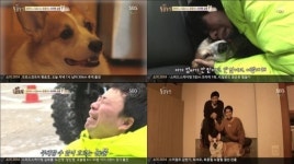 동물농장 똘똘이 죽음…강원래 내 전부였다