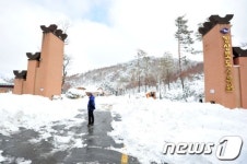 [화보] 60cm 눈폭탄 쏟아진 포항시 죽장면