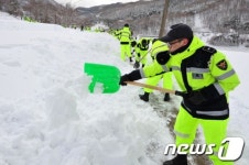 [화보] 60cm 눈폭탄 쏟아진 포항시 죽장면