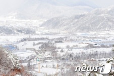 [화보] 60cm 눈폭탄 쏟아진 포항시 죽장면