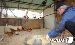 관상조류농장,이동제한조치