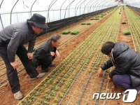 이천시 귀농인 현장실습 교육생 모집
