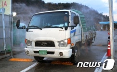강원 원주서 고병원성 AI 확진…당국 비상(종합)