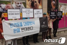 동물보호단체 대전애견경매장 폐쇄하라